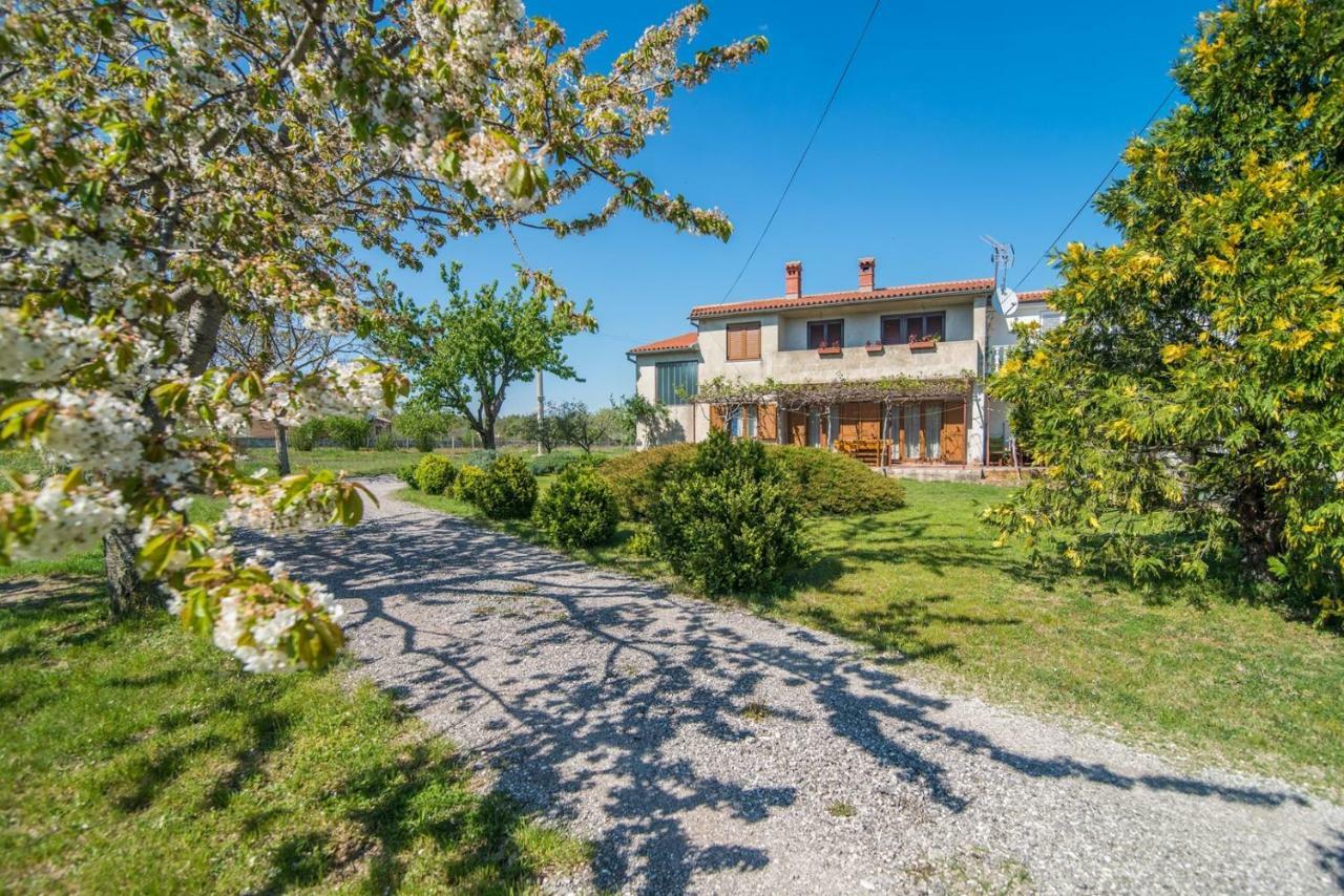 Apartment With Terrace In Filipana Marcana Exterior photo